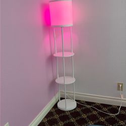 lamp with shelves and pink light bulb 