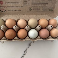 Fresh Eggs