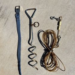 Dog Tie Out Kit
