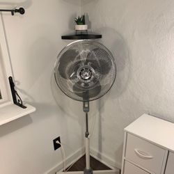 Pedestal Floor Fan
