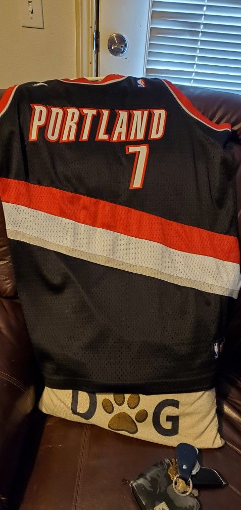 Authentic Brandon Roy Blazers Jersey