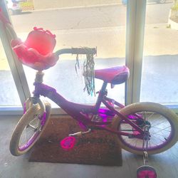 Princess bike