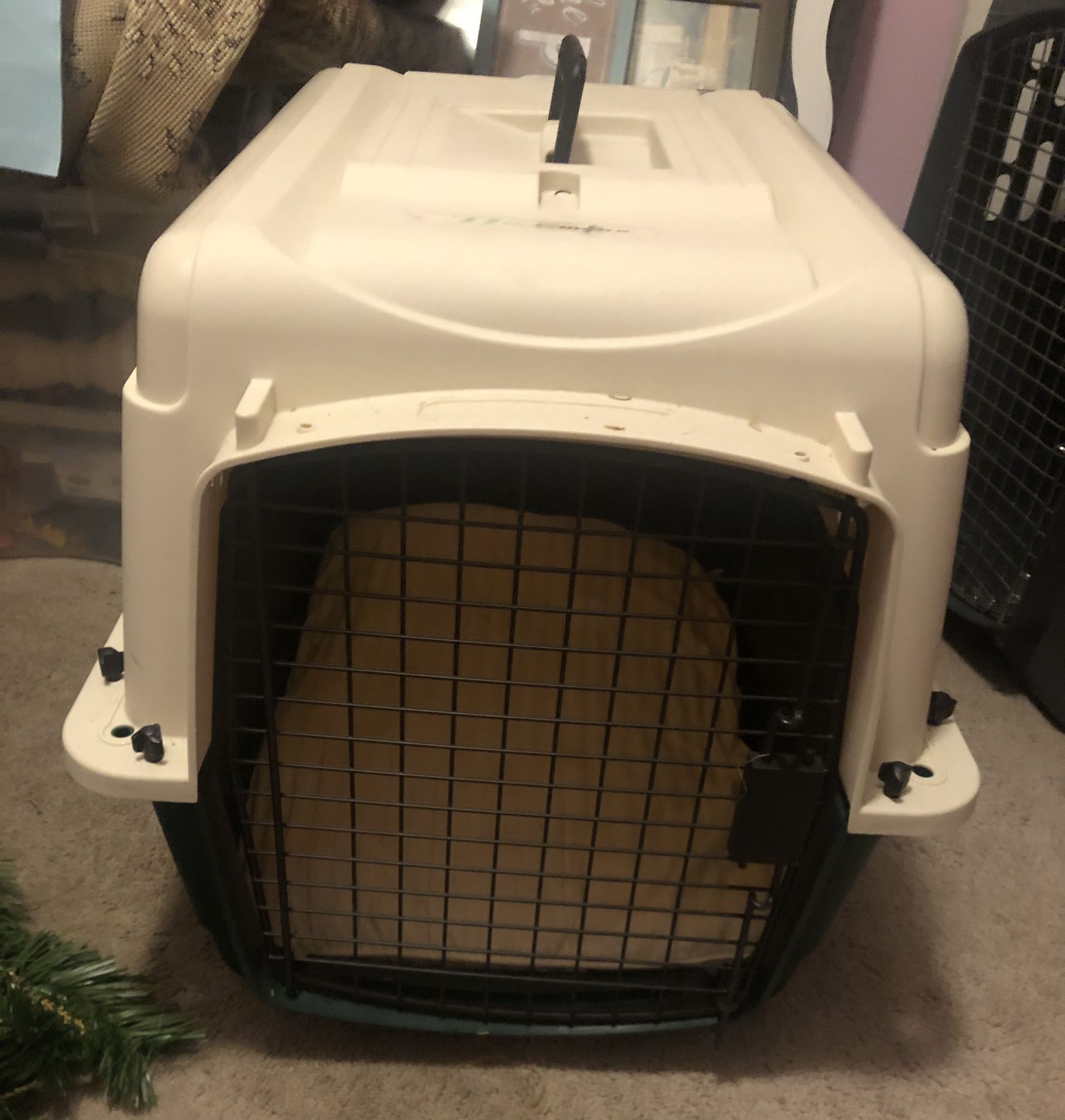 Small Dog Crate