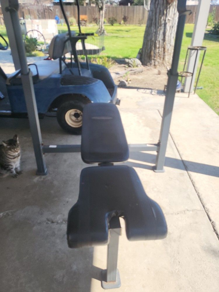 Weight Bench