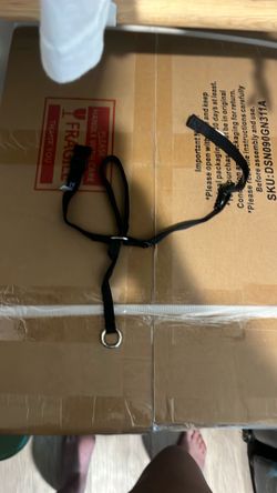 Dog muzzle