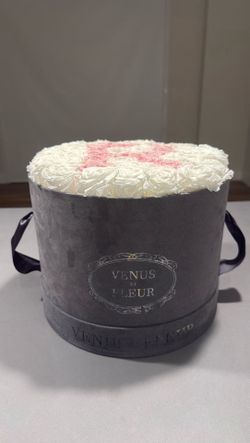 Venus Et Fleur Forever Roses Velvet Box