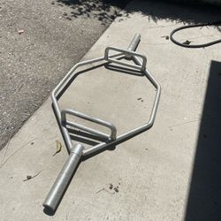 Full Size Trap Bar