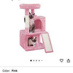 Cat Tree 