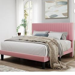 New Queen Bed Frame 