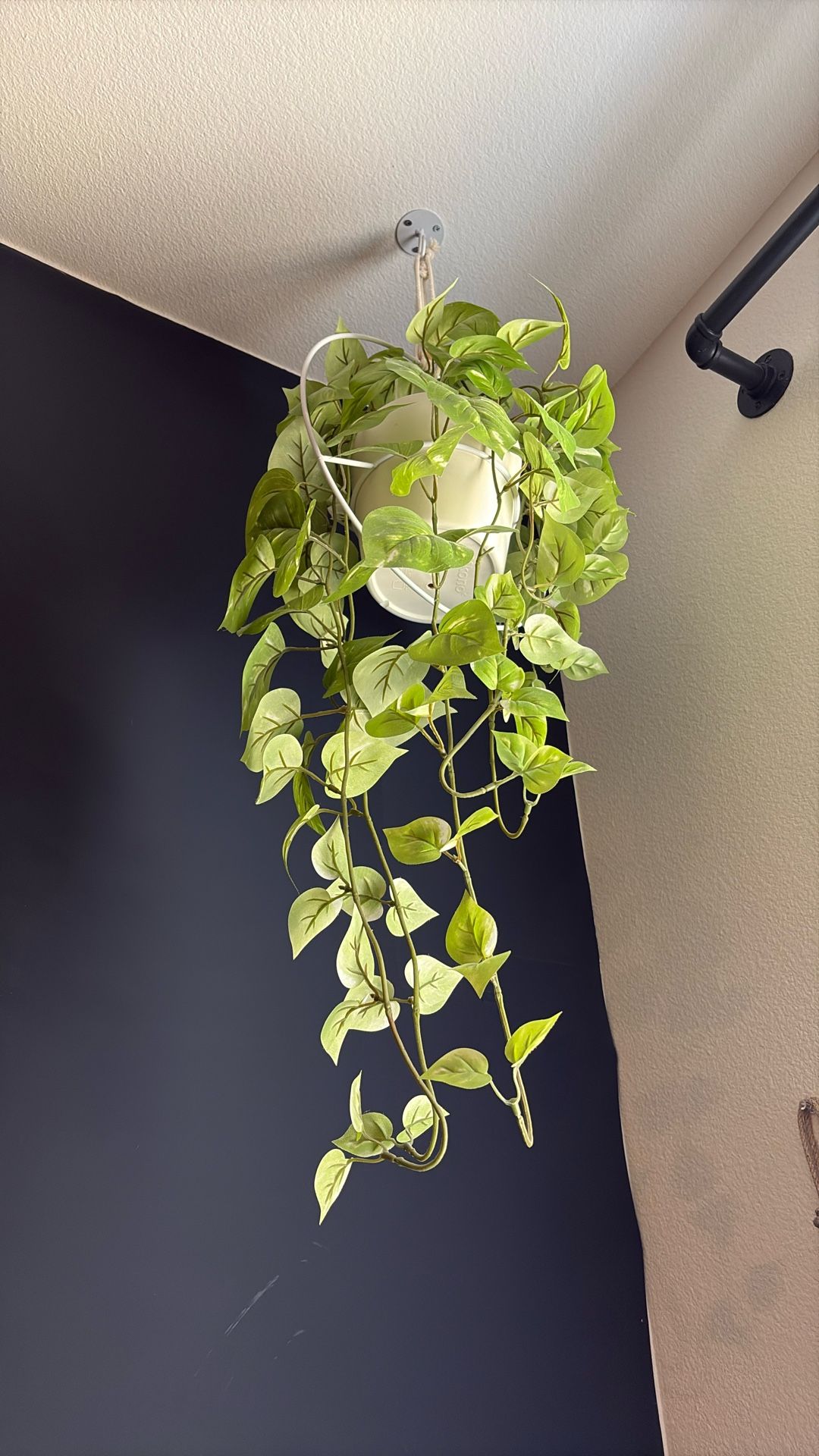 Artificial Plants