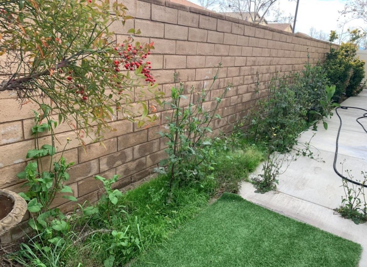 Yard Stuff