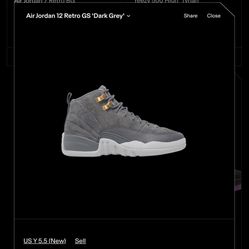 Air Jordan 12 Retro GS 'Dark Grey'