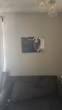 Bull Painting