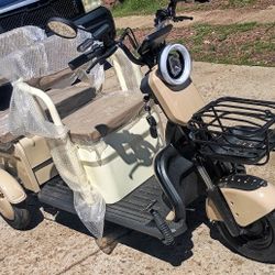 3 Wheeled Mini Golf Cart/ Scooter