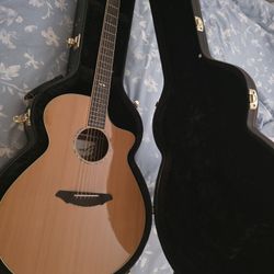 Breedlove Guitar