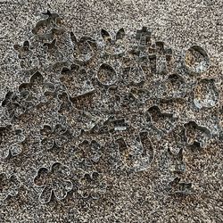 31 NEW Cookie Cutters