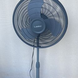 Fan 