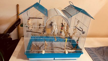 Bird Cage