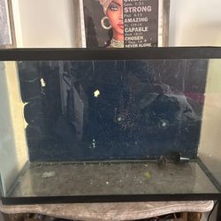 40 Gallon High Aquarium 