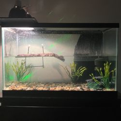 30 Gallon Fish Tank Comes With Lighting And Filter