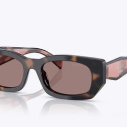 Prada PR BO5s In Tortoise