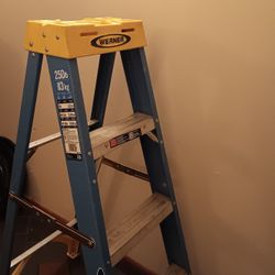 Werner 4ft Ladder 