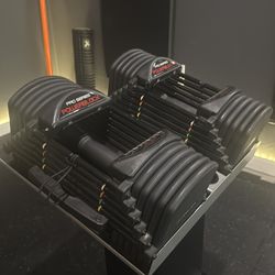 Power Block Pro Series Dumbbells