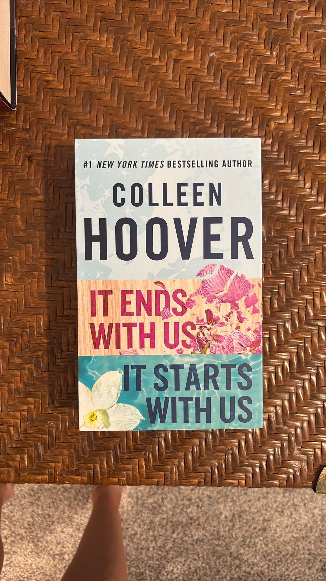 It Ends With Us Duology