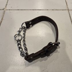 Leather/Metal Dog Collar Large