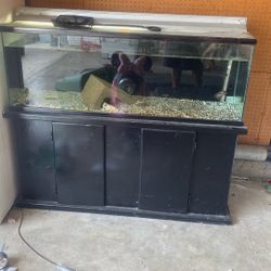 60 Gal Fish Tank , Stand, Light, Filter
