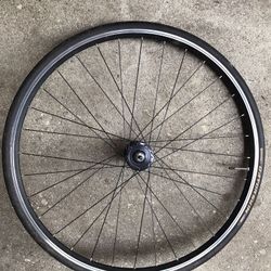 Bicycle wheel