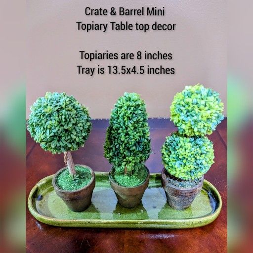 CRATE & BARREL MINIATURE TOPIARY DECOR