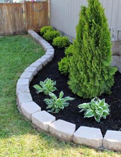 Plants