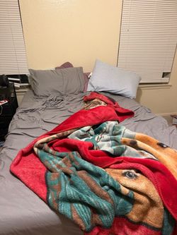 Bed/ couch