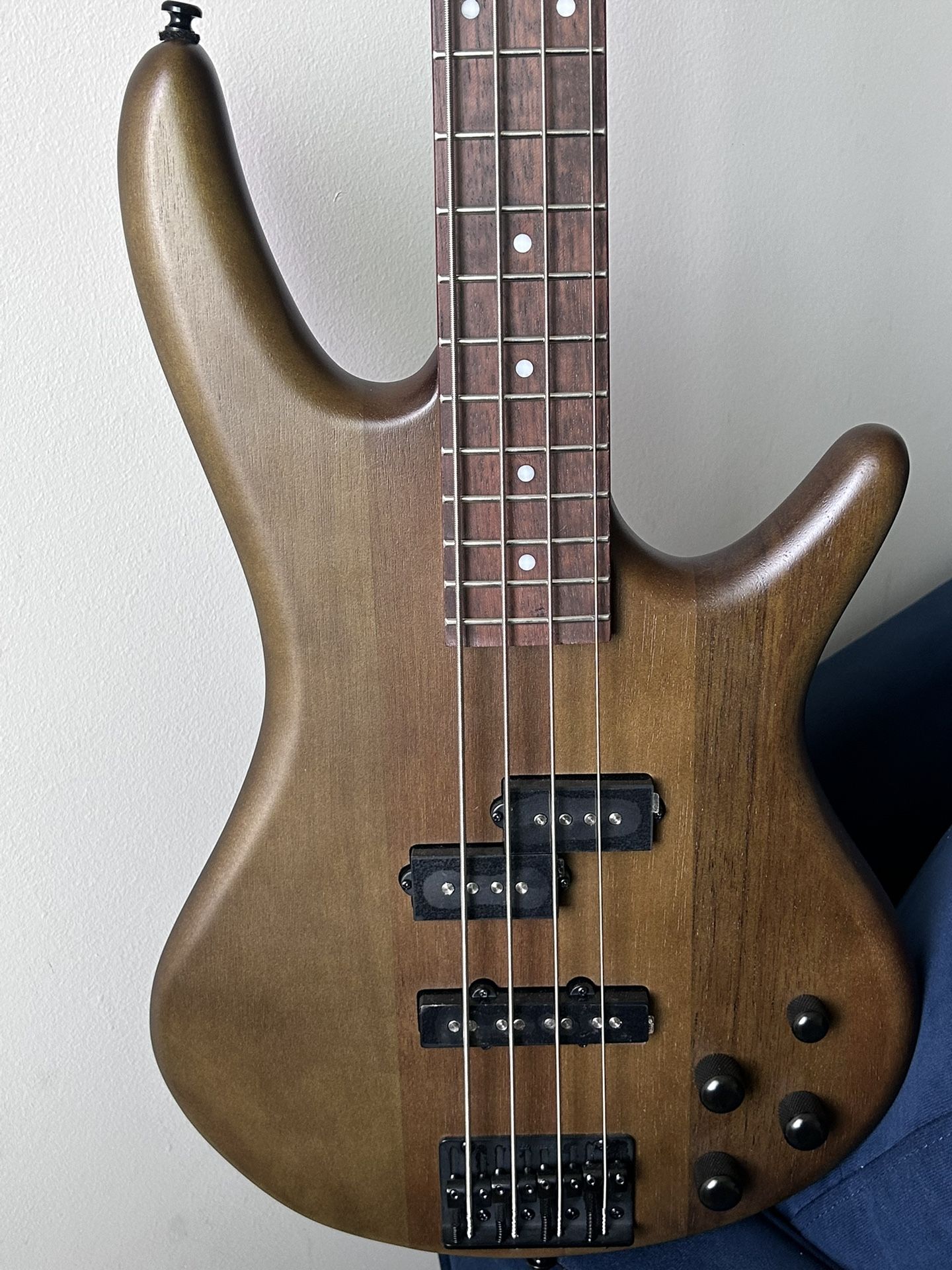 Ibanez Bass Guitar