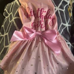 Birthday Dress For Pet 