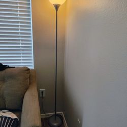 Grey Floor Lamp