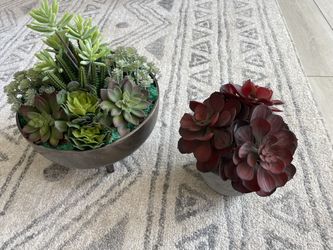 Decorations Plants
