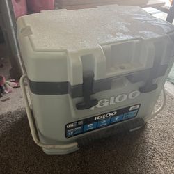 colman  cooler