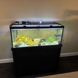 75 Gallon Aquarium 
