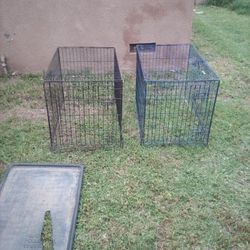 Dog Kennels