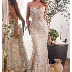 Silver And Nude Dress 