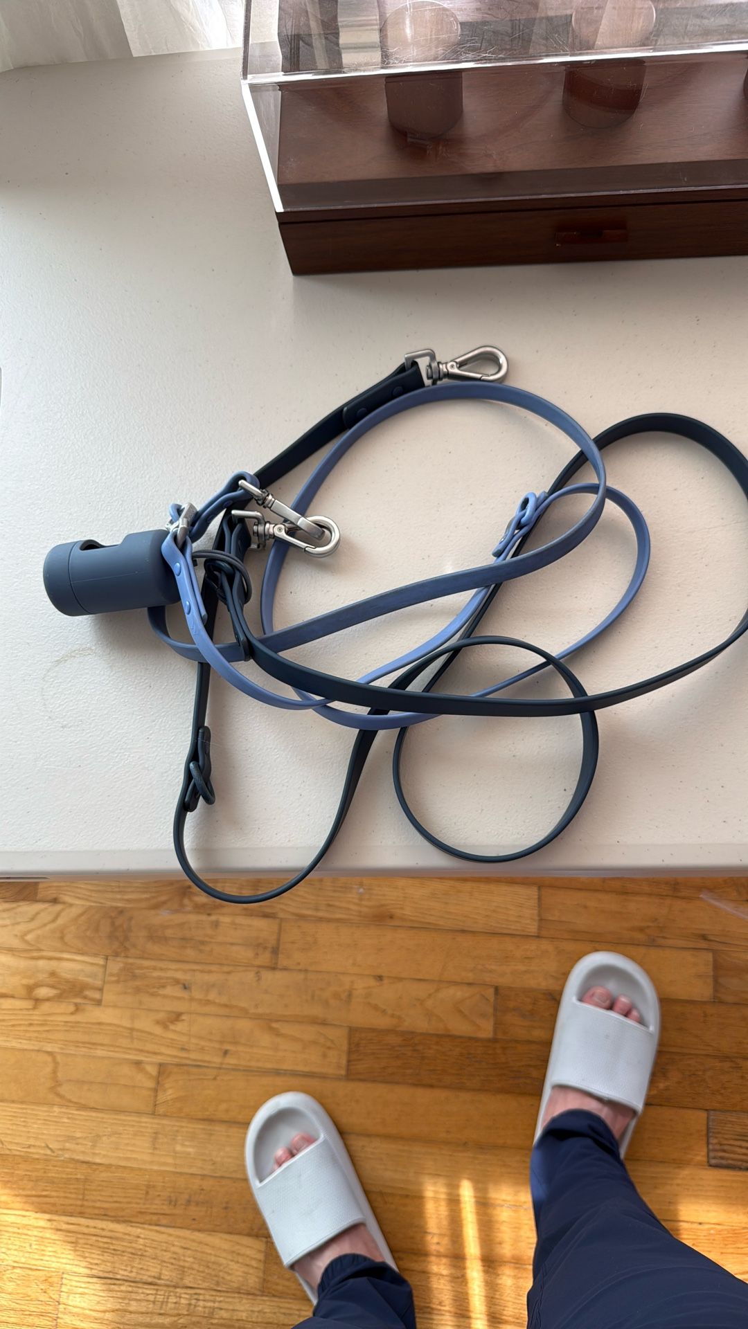 Wild Ones Leash