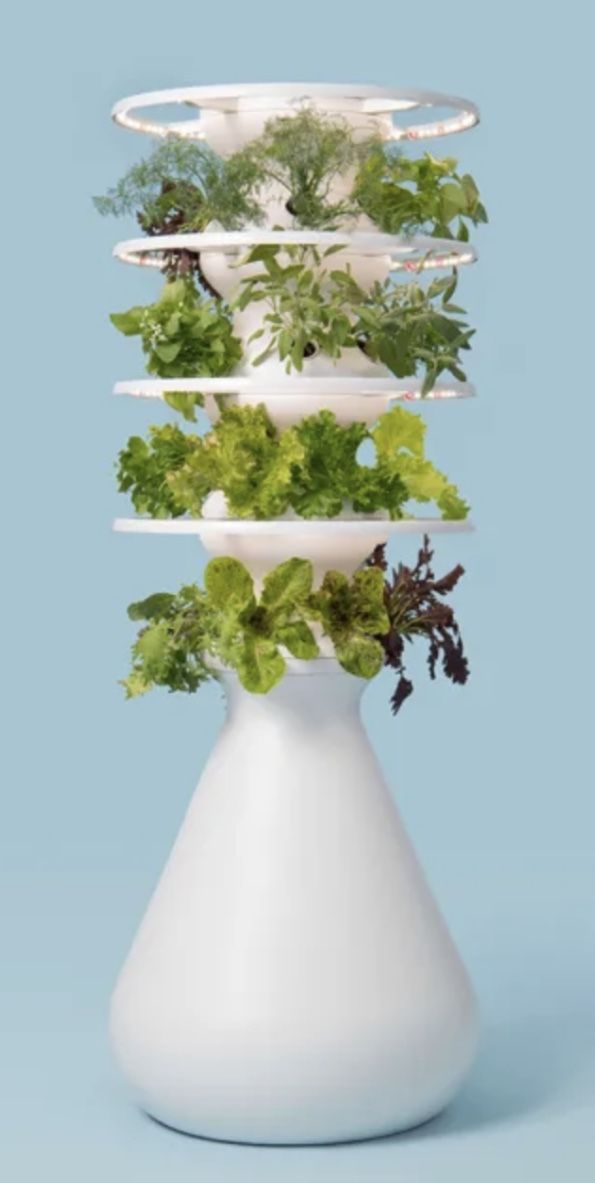 Lettuce grow Farm stand