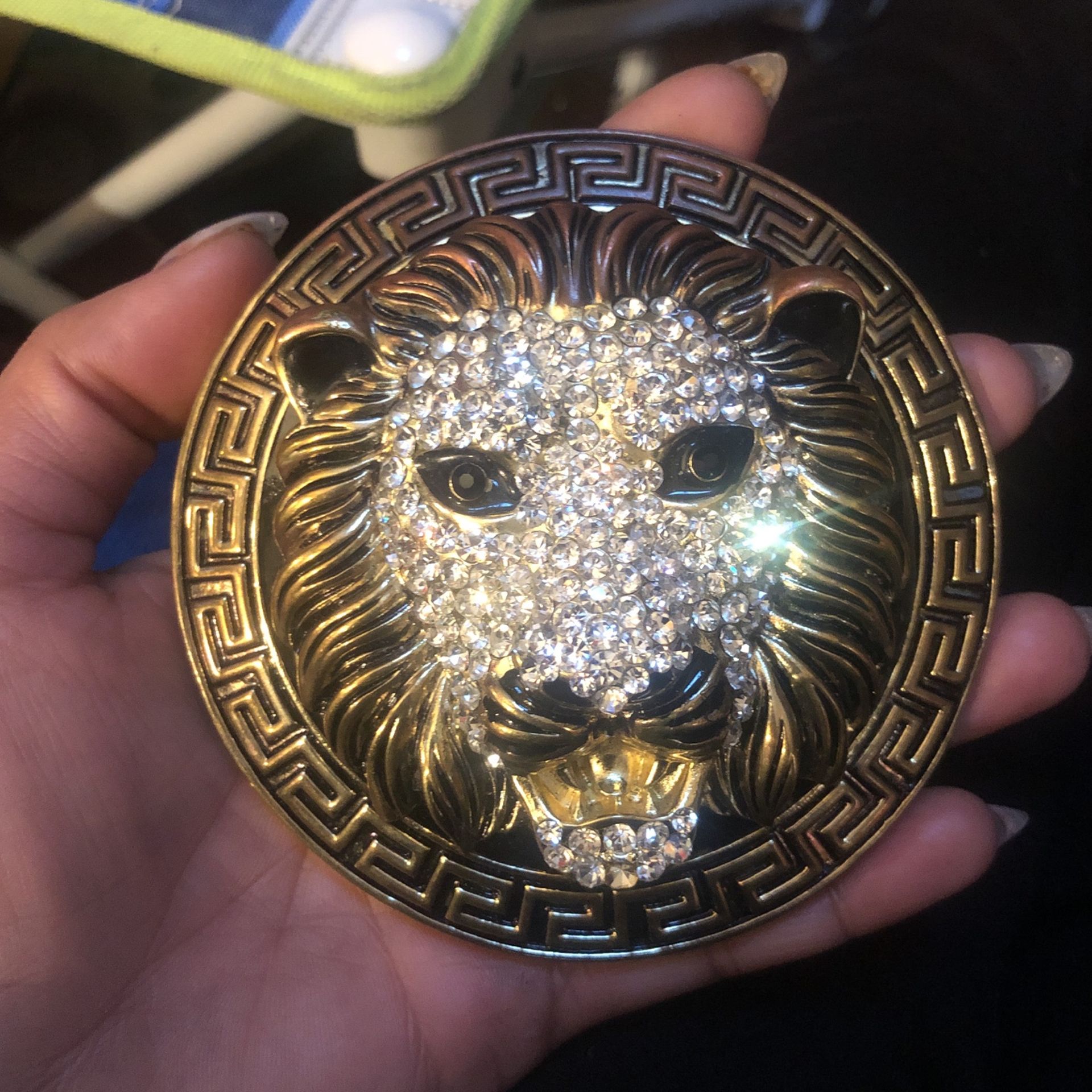 Off Brand Versace Lion Emblem Cubics