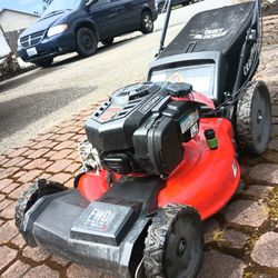 Self Propelled Lawnmower 