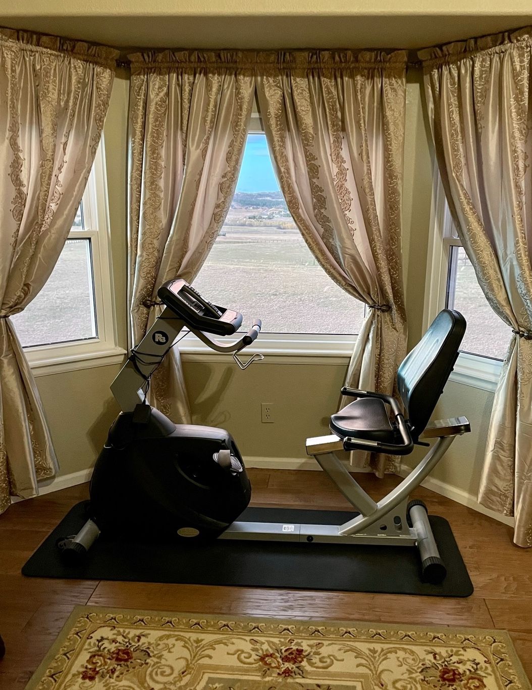 Like new LifeSpan R3 Recumbent Exercise Bike - Can Deliver