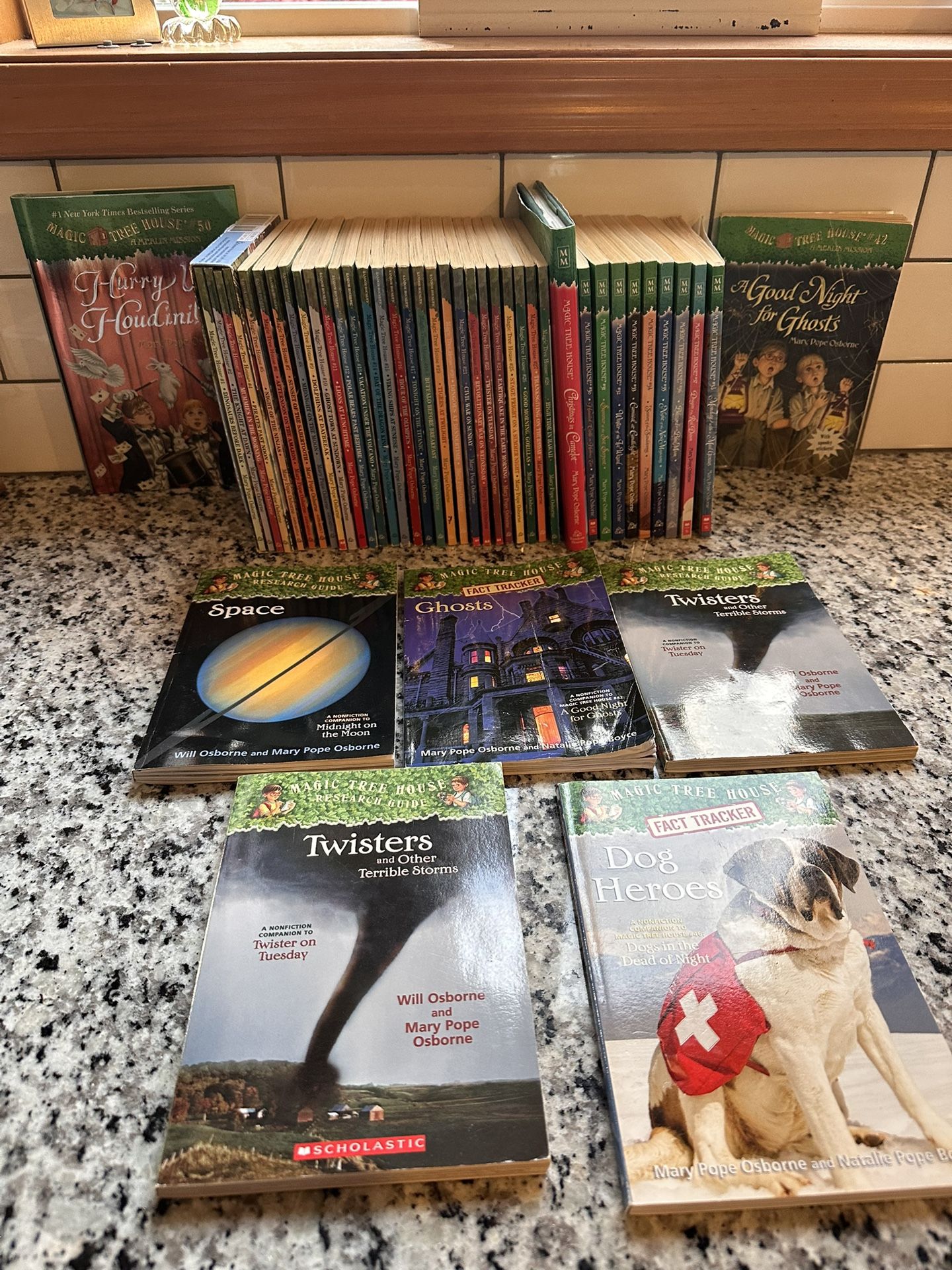 Magus Tree House Books