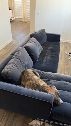 Free couch