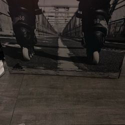 Rollerblades 